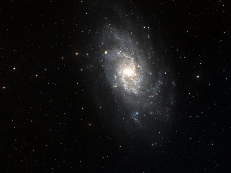 IC 136