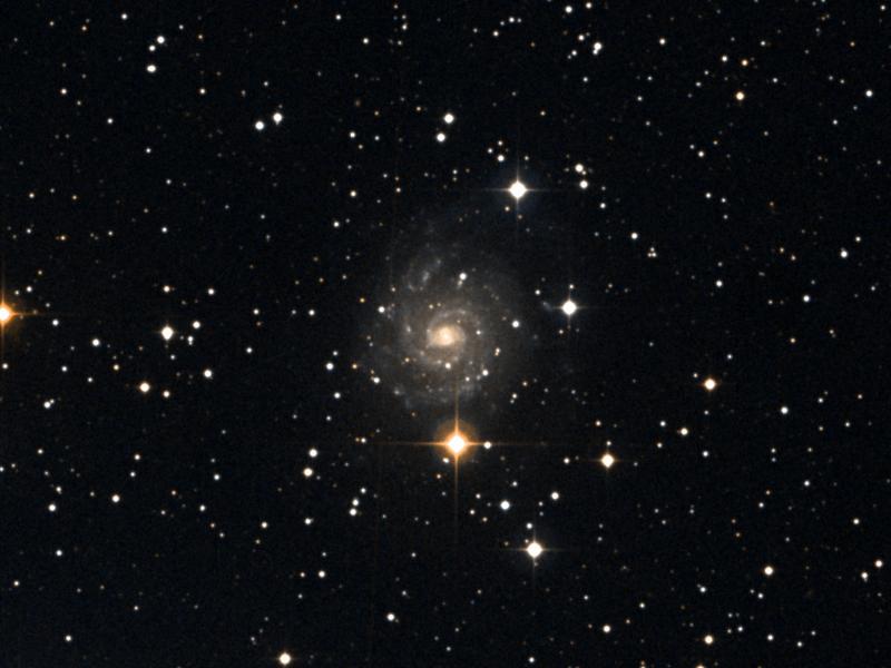 IC 239