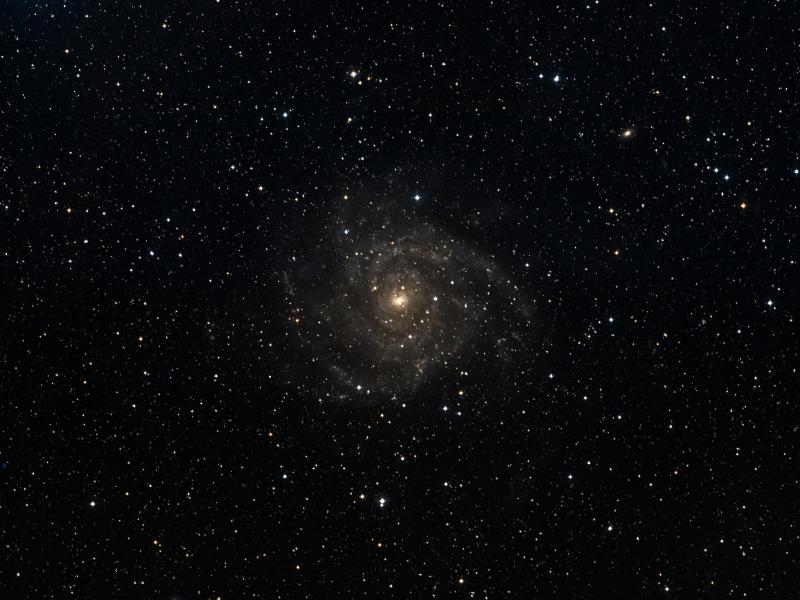 IC 342