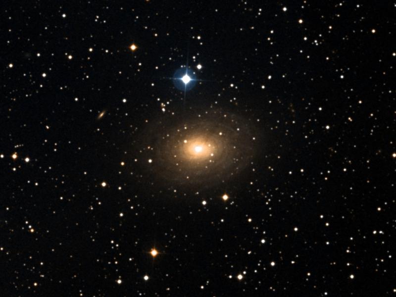 IC 356