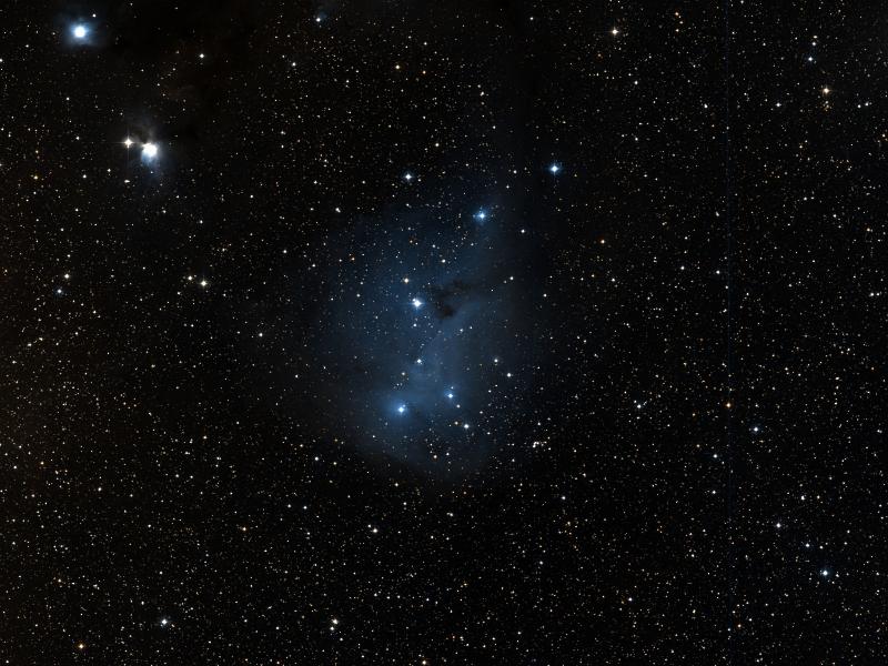 IC 447
