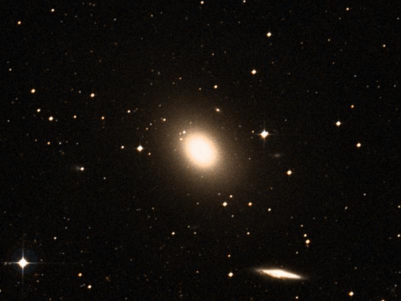 IC 1459