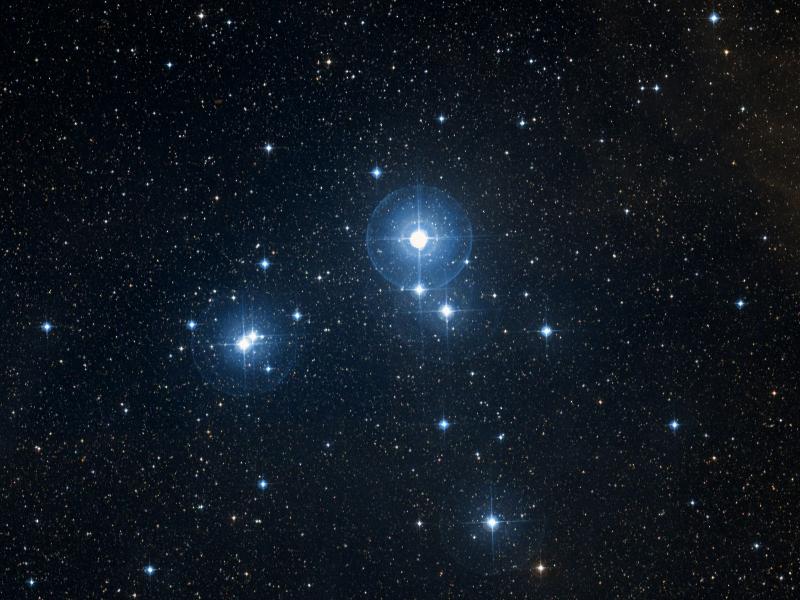 IC 2391