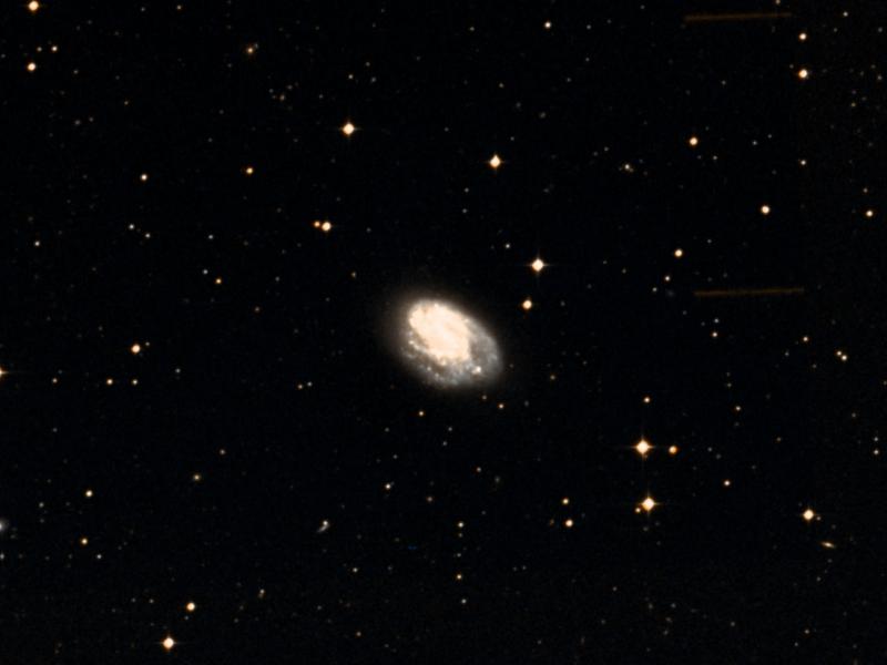 IC 5273