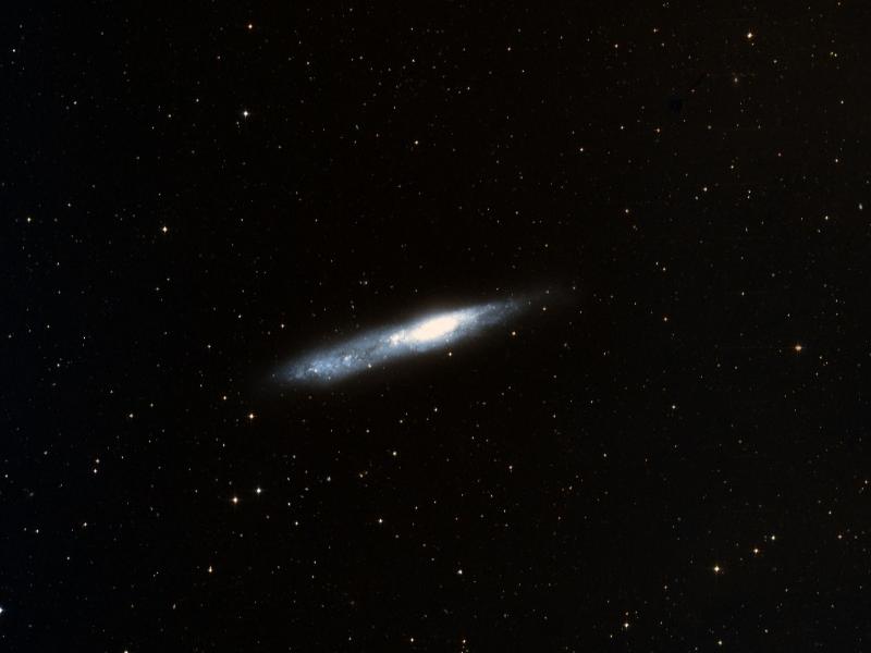 NGC 55