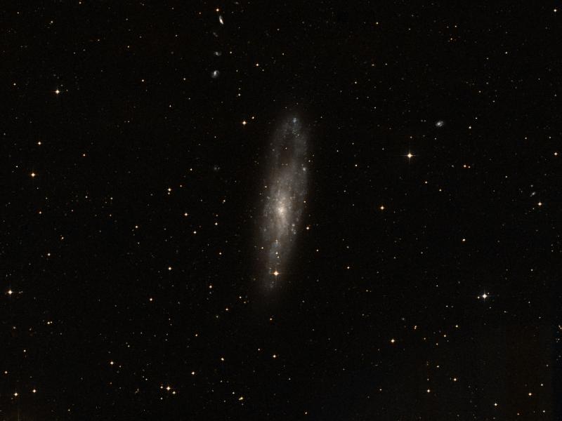 NGC 247