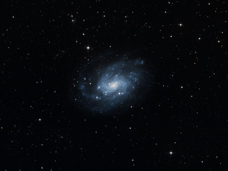 NGC 300