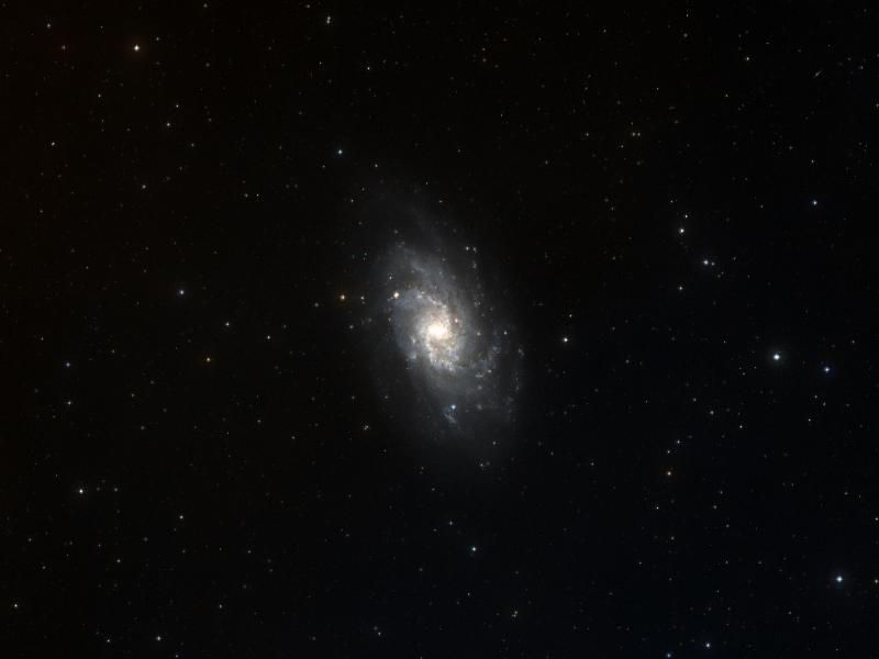 M 33