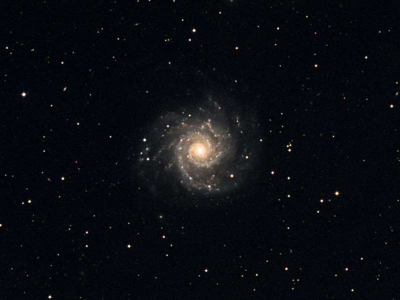 M 74