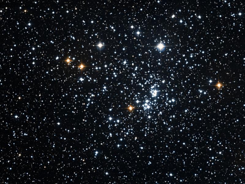 NGC 884