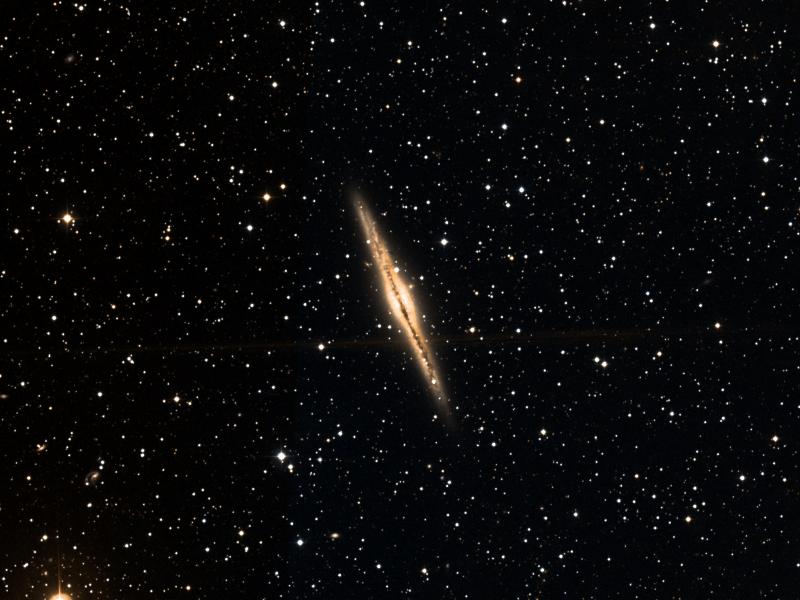 NGC 891