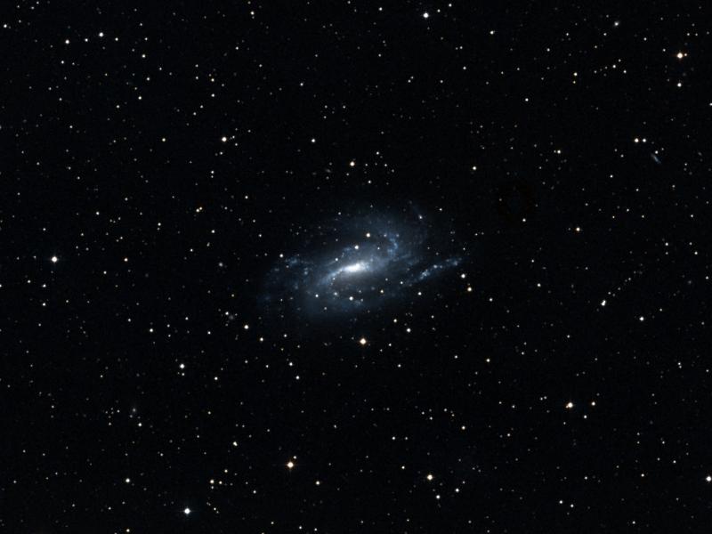 NGC 925
