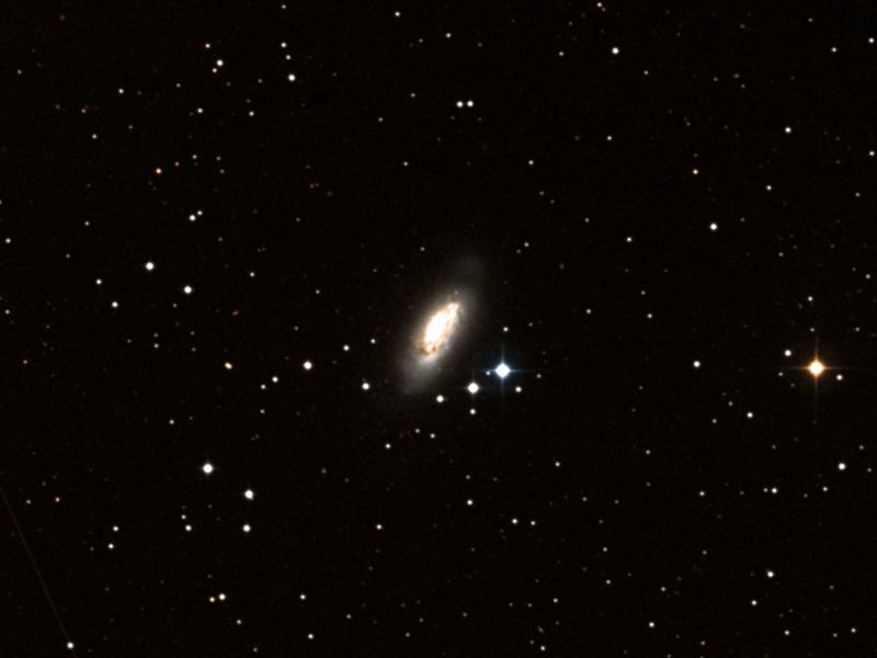 NGC 972