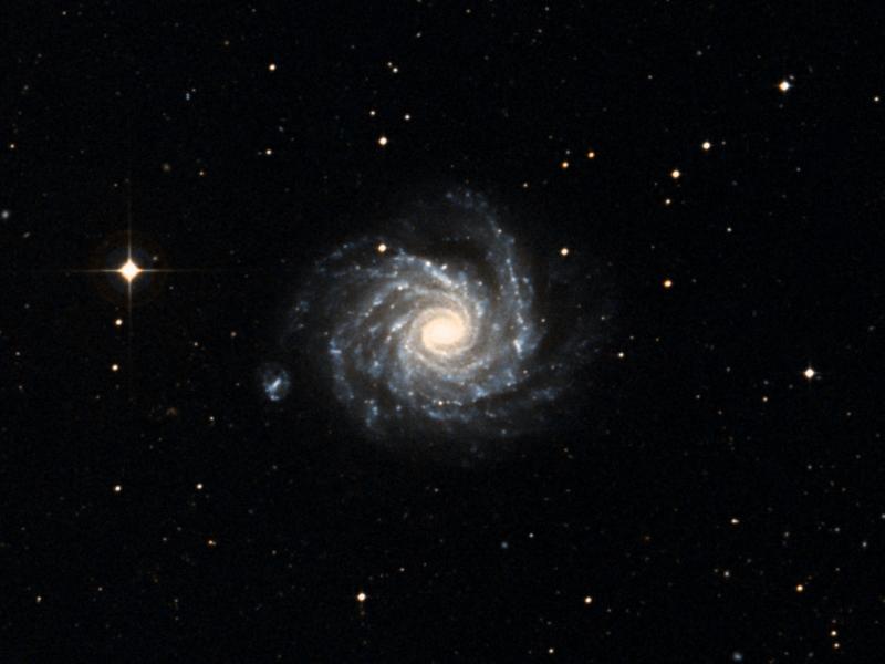 NGC 1232