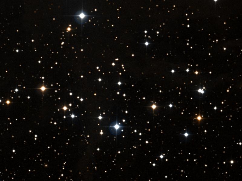 NGC 1342