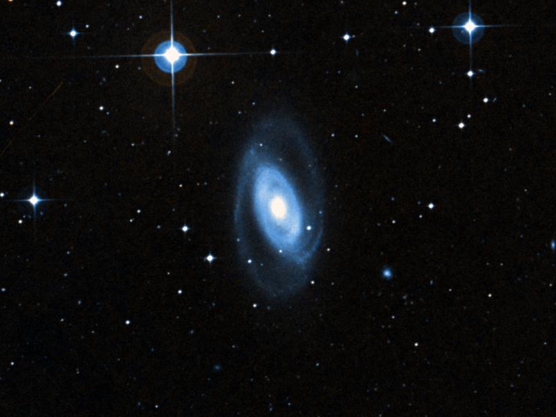NGC 1350