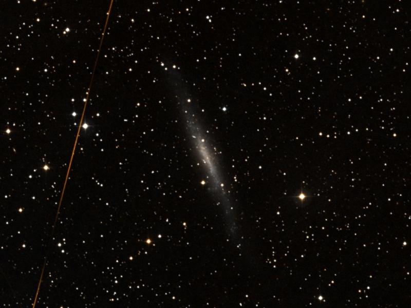 NGC 1560