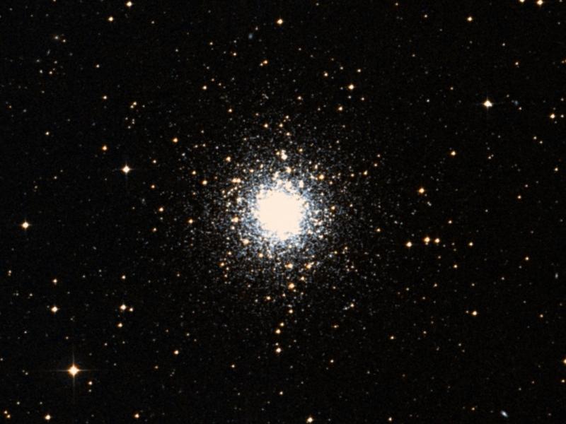 M 79