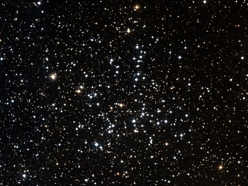 M 38
