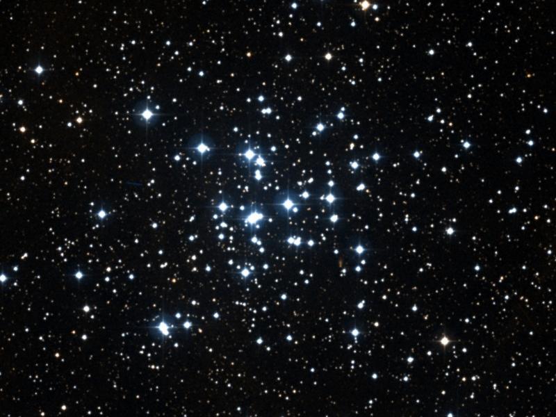 M 36