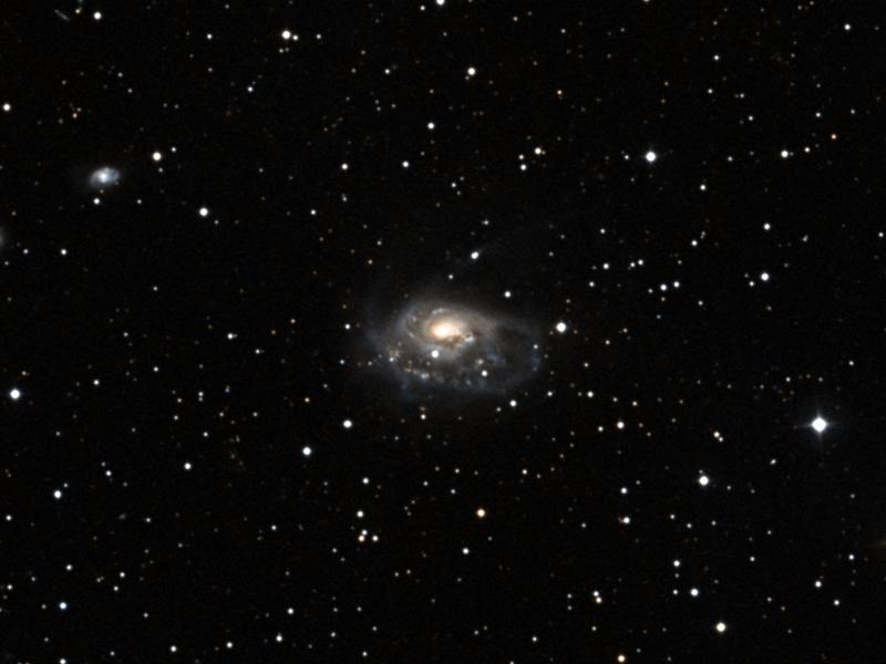 NGC 1961