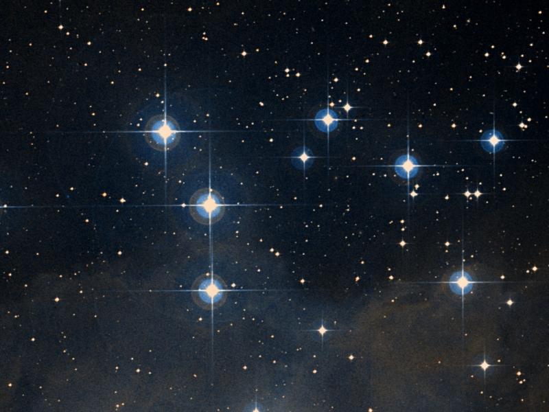 NGC 1981