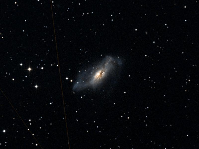 NGC 2146
