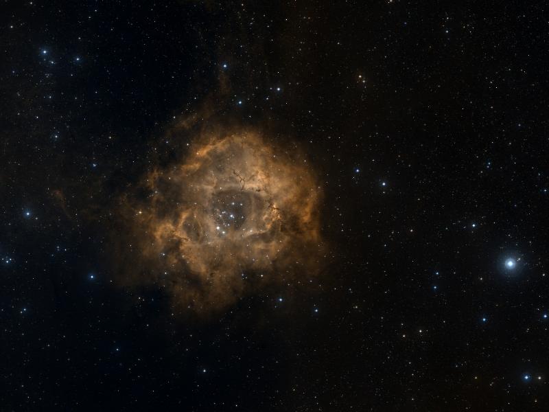 NGC 2238