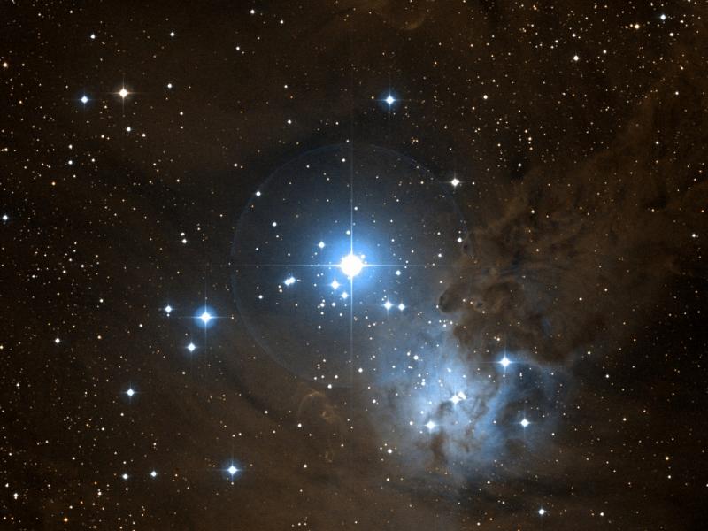 NGC 2264