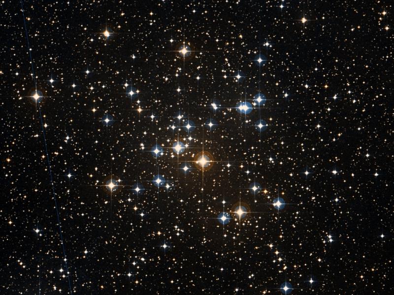M 41