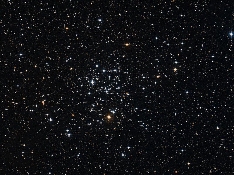 M 50