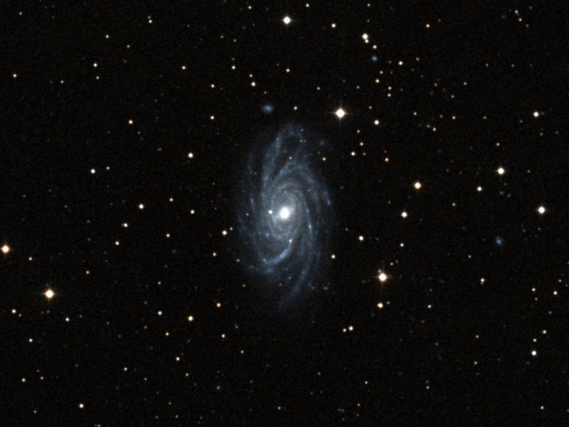 NGC 2336