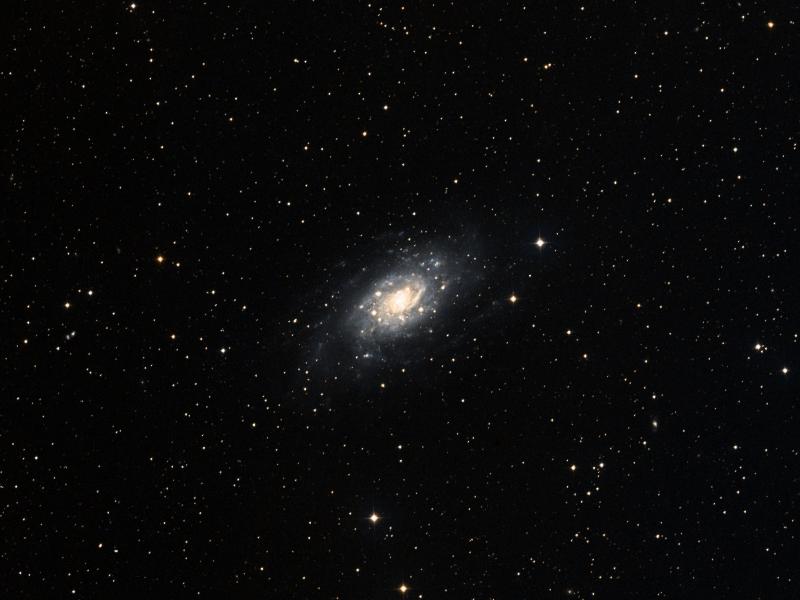 NGC 2403