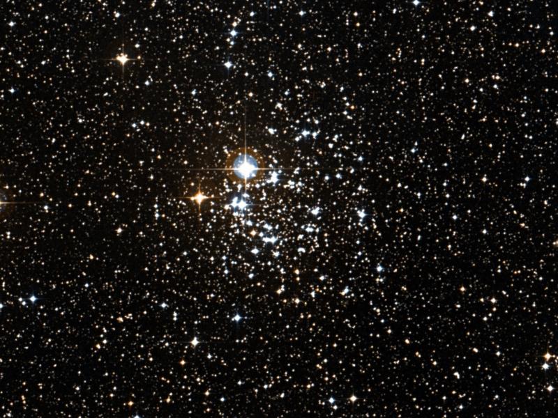NGC 2439