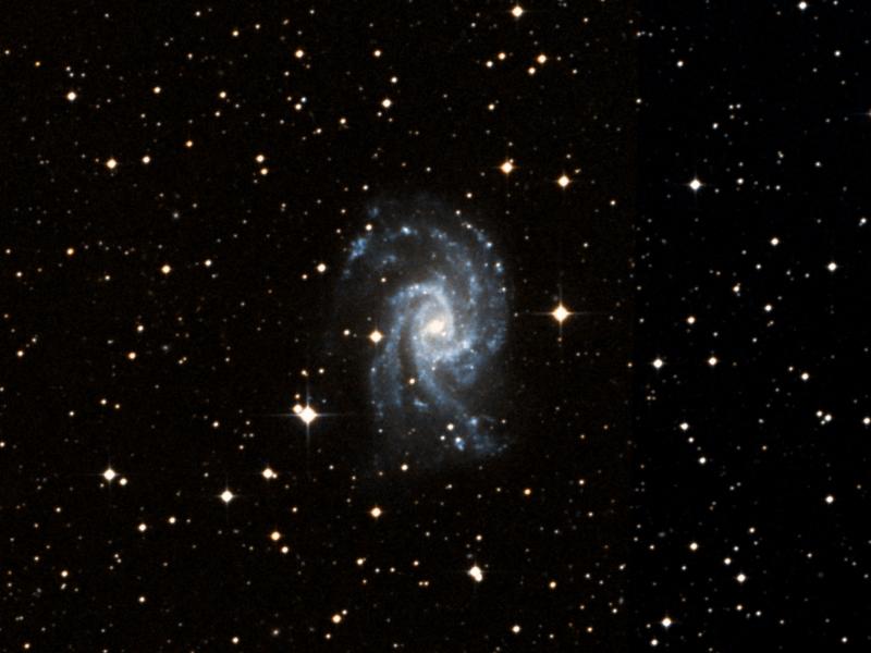 NGC 2835