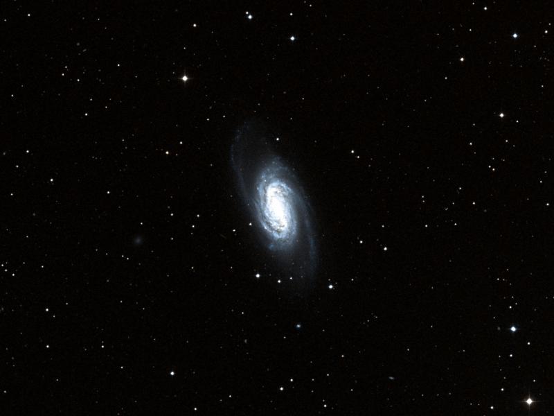 NGC 2903