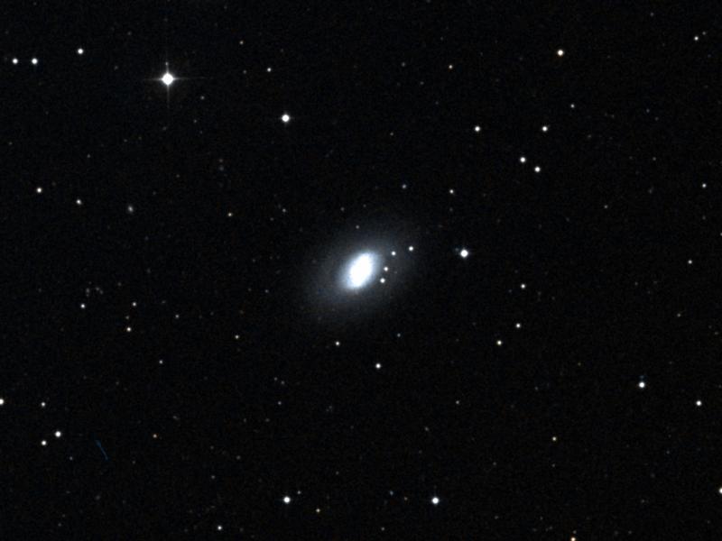 NGC 2950