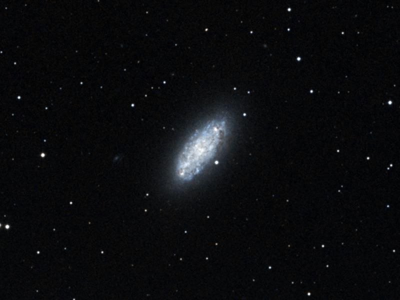NGC 2976