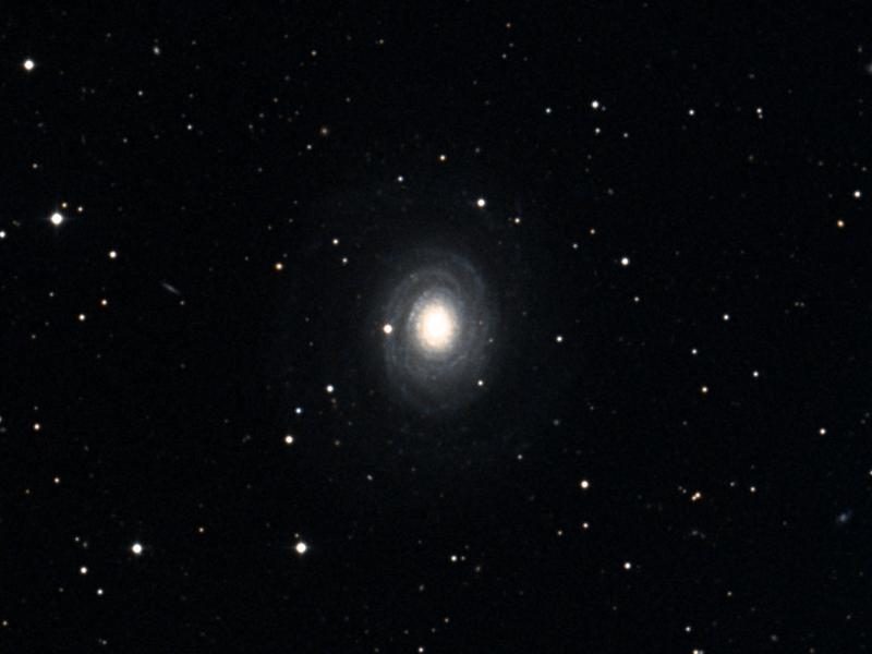 NGC 2985