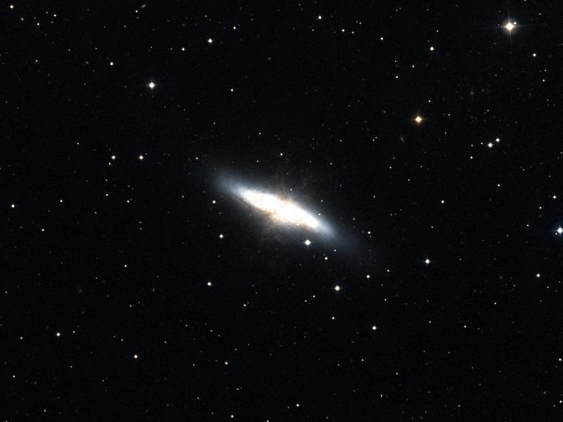 M 82