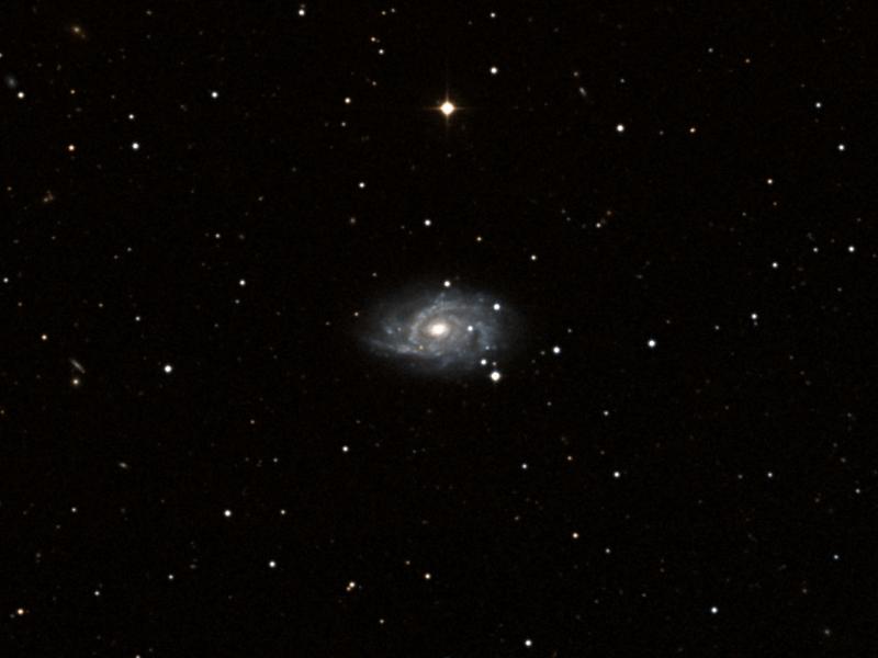NGC 3041