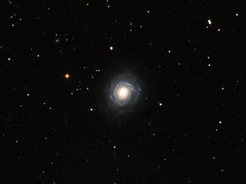NGC 3147