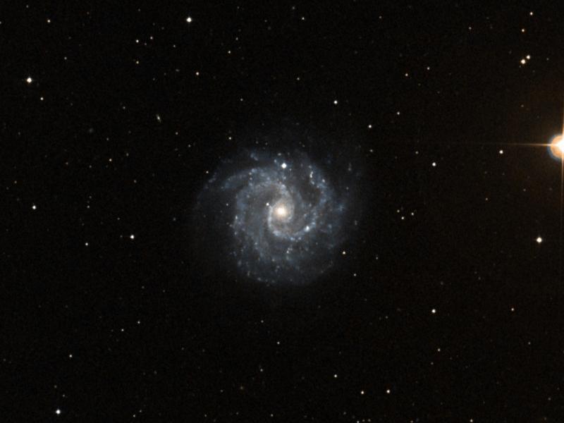 NGC 3184