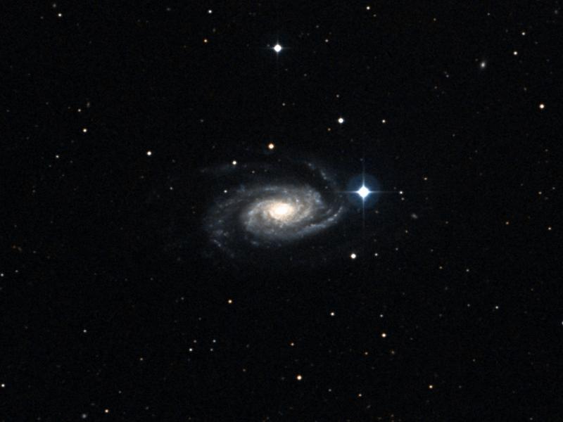 NGC 3338