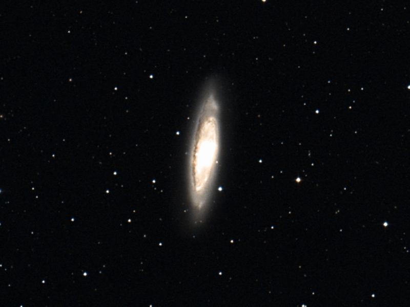 M 65