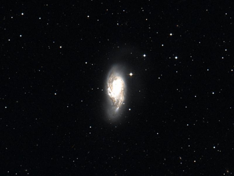 M 66