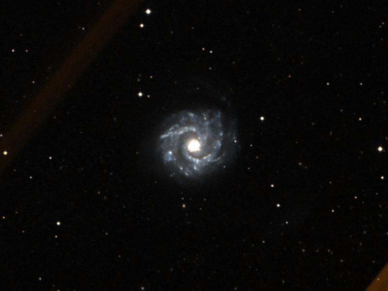 NGC 3631