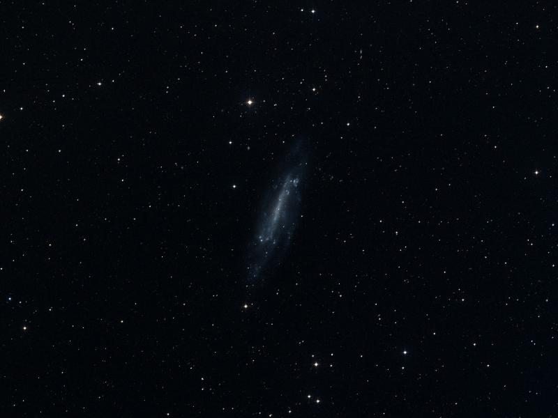 NGC 4236