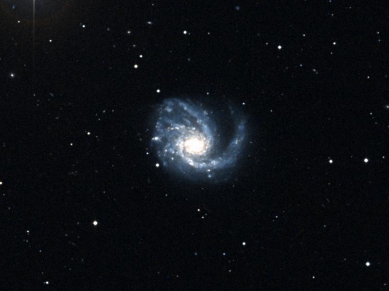 M 99