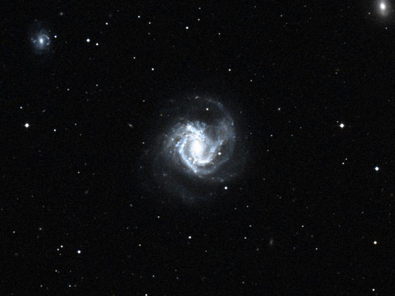 M 61